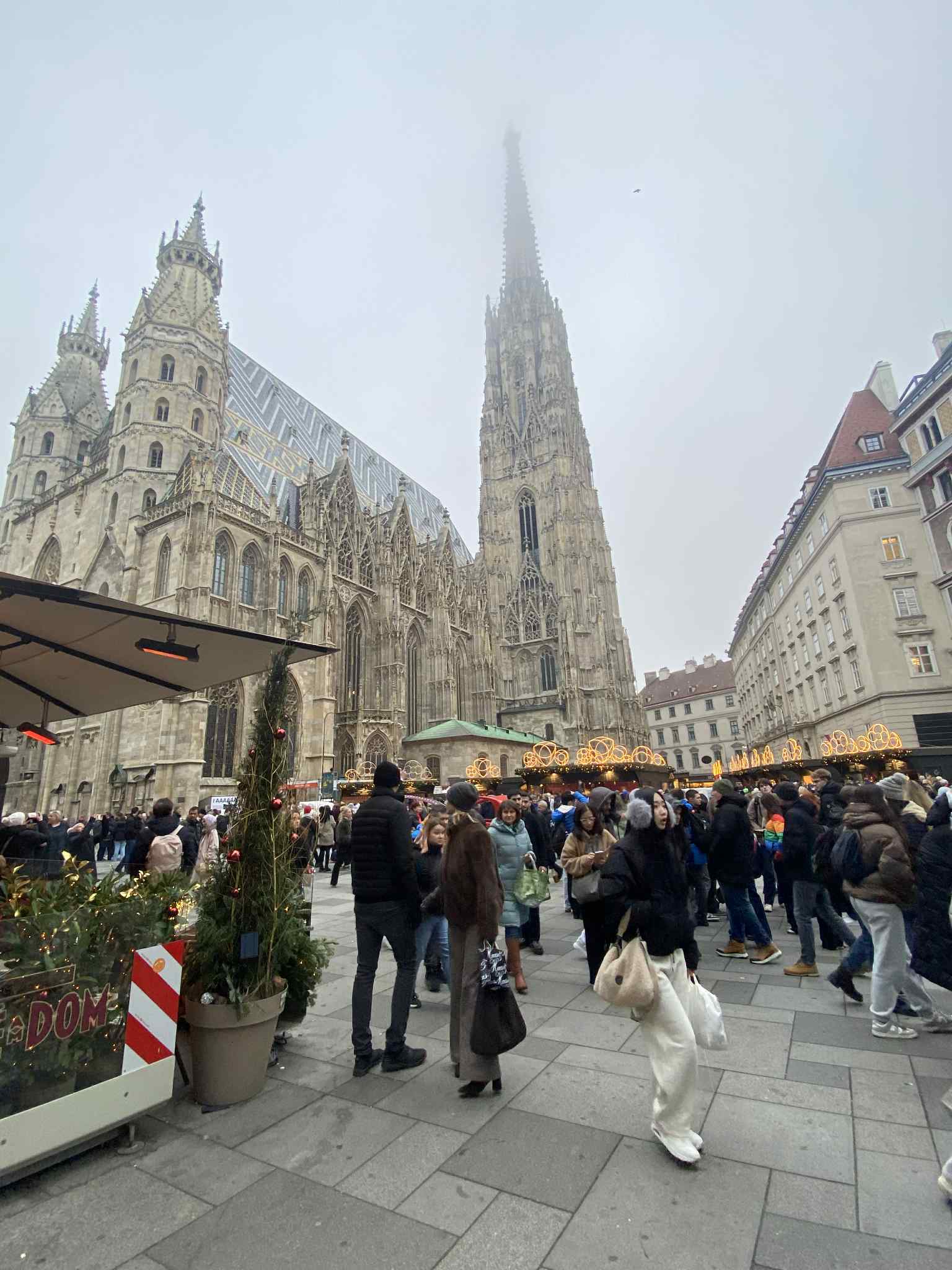 600168137 1324060566405256 7949153915808982670 n