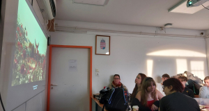 Pique-nique français