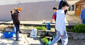 Fenntarthatósági témahét 2026