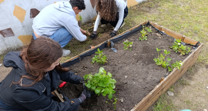 Fenntarthatósági témahét 2026