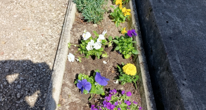 Fenntarthatósági témahét 2026