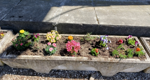 Fenntarthatósági témahét 2026