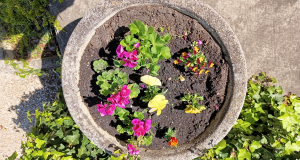 Fenntarthatósági témahét 2026