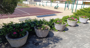 Fenntarthatósági témahét 2026